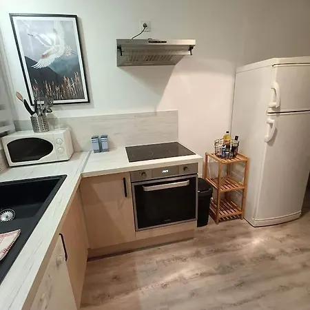 3 - Drapeau * Digione