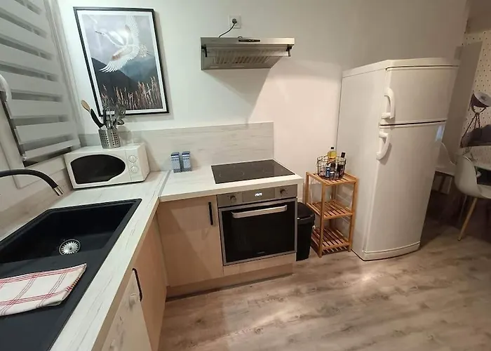 3 - Drapeau * Digione